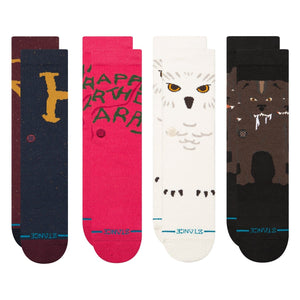 STANCE Harry Potter X Stance Box Set Men's Socks Stance 