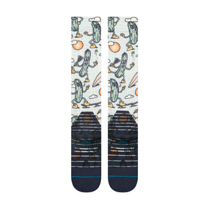 STANCE Feeling Pickled Snow Socks Multi Men's Snowboard Socks Stance 