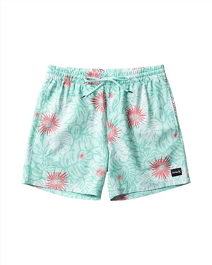 HURLEY Cannonball Volley 17" Boardshorts Tropical Mist 2 Men's Boardshorts Hurley 